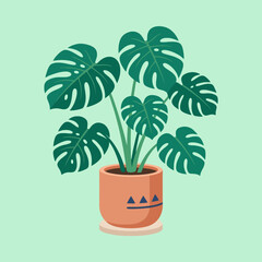 Obraz premium A potted tropical houseplant with large green leaves on display