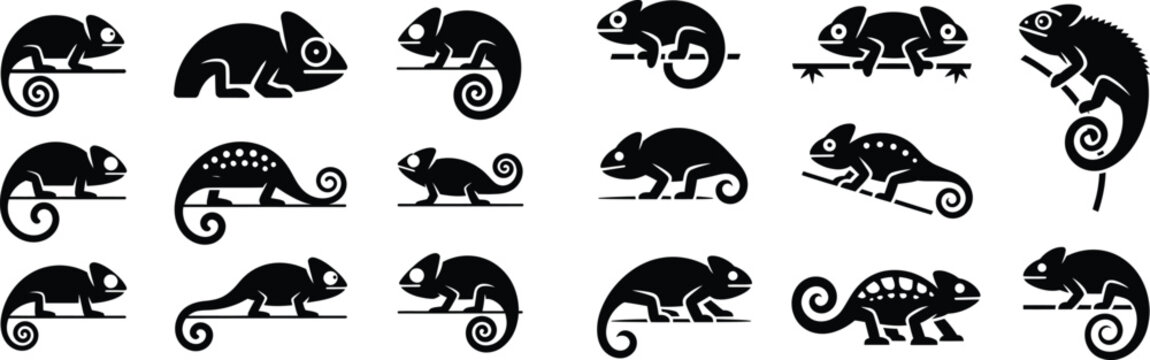 Chameleon lizard silhouettes collection showing different poses climbing on branches and curled tails for nature wildlife design inspiration.