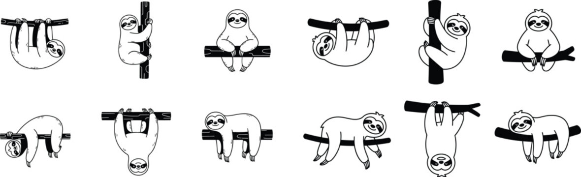 Set of cute sloth illustrations, hanging on branches and trees, various poses, relaxed and sleepy animals, perfect for stickers and t-shirts.