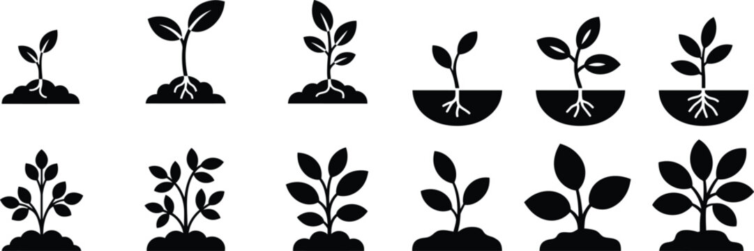 Stages of plant growth icon set showing seedling development from soil with visible root systems for agriculture and education design ideas.