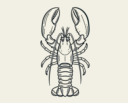Lobster hand drawn line art illustration featuring detailed anatomical features with claws and antennae isolated on neutral beige background for seafood.