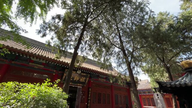 Traditional Chinese Temple Courtyard with Tall Trees