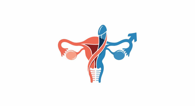 Abstract representation of male and female reproductive systems intertwined