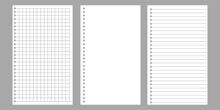 Set of Blank, Lined and Graph Notebook Paper Pages With Punched Holes and Gray Margins