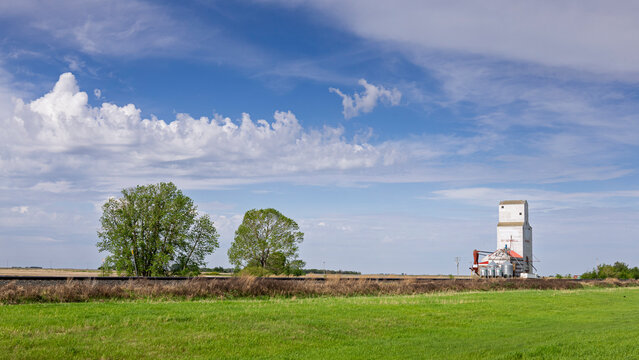 Cumulus clouds with a line of towering, congestus cumulus over a Saskatchewan prairie scene with a grain elevator on the horizon.