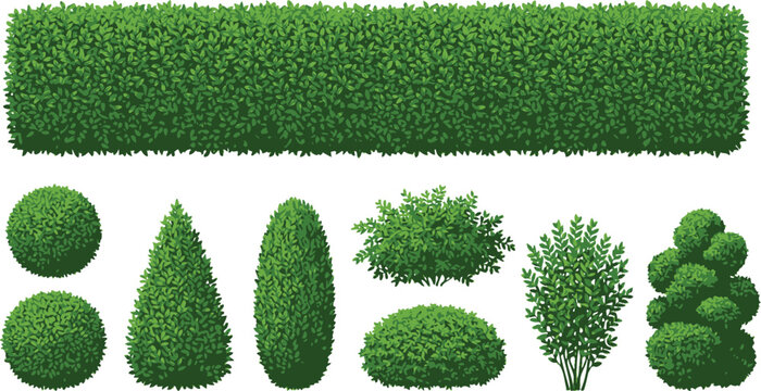 Various green hedge and bush shapes for landscaping.