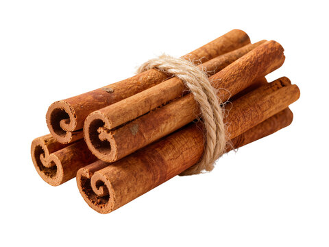 Dried Ceylon cinnamon sticks bundle tied with jute twine isolated on transparent background for autumn holiday design