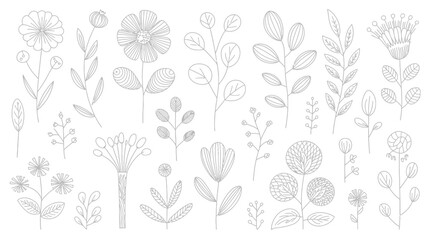 botanical line illustrations on white background drawings flowers leaves plants stem petal nature black vector graphic design pattern ornament decorative simple © MdRafiqul
