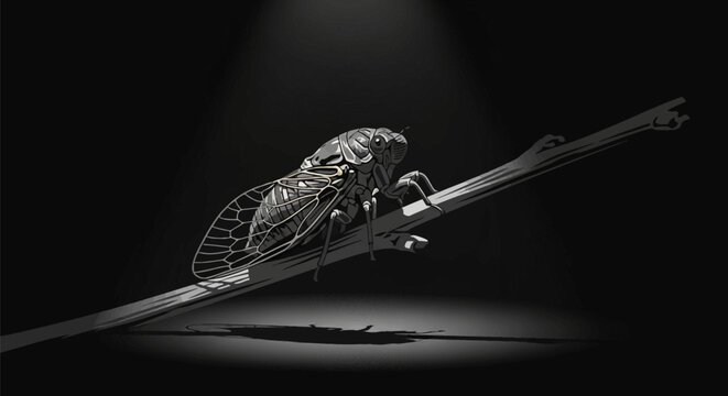 Detailed vector artwork of a cicada perched on a slender branch, showcasing intricate wing patterns and segmented exoskeleton under a dramatic spotlight on a dark background.