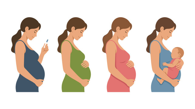 Illustration showing four stages of motherhood from a positive pregnancy test to a growing belly and finally holding a newborn baby.