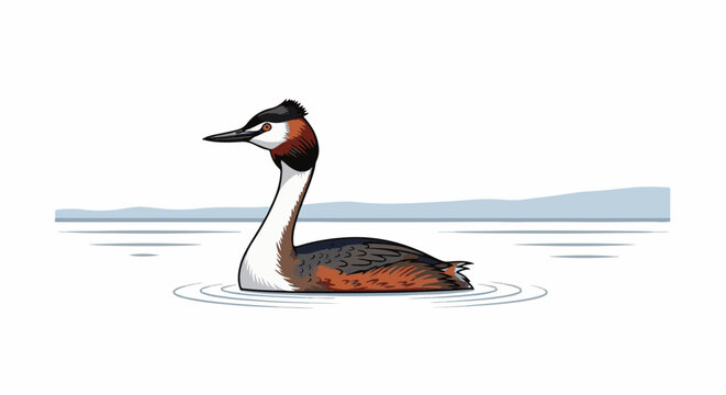 A grebe with distinctive black head crest swims on calm water, distant hills