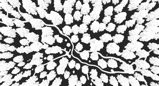 Aerial view of a stylized forest canopy with winding paths