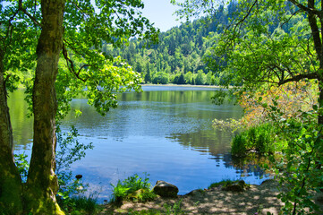 Obraz premium Nonnenmattweiher im Schwarzwald