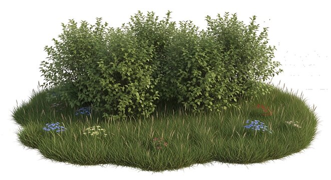 Green grassy hill with small bushes.