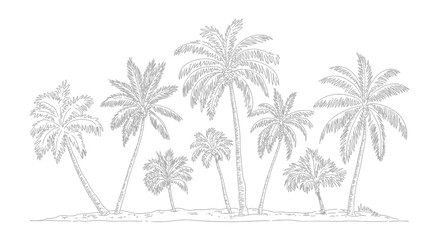 Fototapeta premium palm trees line drawing black white tropical beach landscape botanical sketch artwork nature summer vacation travel coastal island outdoor scenery simple