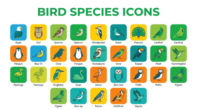 Premium collection of diverse bird species icons in modern flat vector design, ideal for wildlife, nature, and educational graphic projects and applications