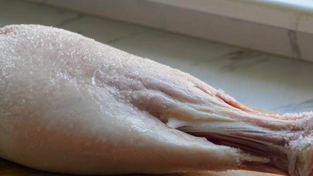 Timelapse Frozen Lamb Leg Thawing and Defrosting on Kitchen Counter