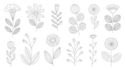 black floral line illustrations on white background flowers art botanical drawings designs simple style nature theme hand drawn ornamental plants stem © Nargis