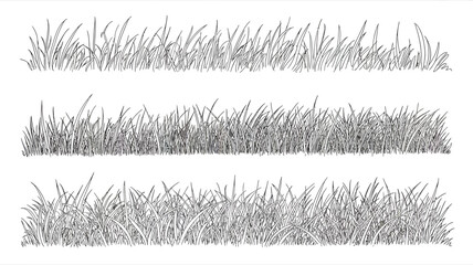 three rows of grass line drawing sketch black and white botanical nature vegetation landscape simple minimalist graphic design pattern border divider ornament illustration © Nargis