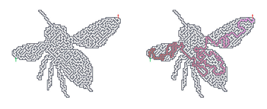 Bee design represented as a maze pattern for labyrinth game grid  