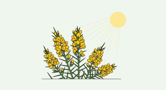 Yellow gorse flowers bloom under a stylized sun on a pale green background