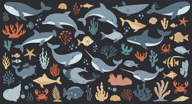Comprehensive collection of diverse sea life including whales, dolphins, sharks, fish, coral, and crabs on a dark background for education.