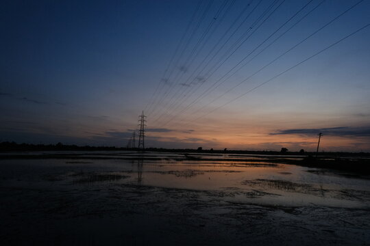 paddy field during monsoon in Kerala