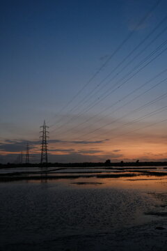 paddy field during monsoon in Kerala