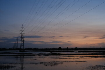 Fototapeta premium paddy field during monsoon in Kerala