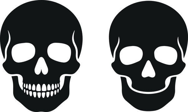 Halloween Skeleton Head Skull Isolated on white Background