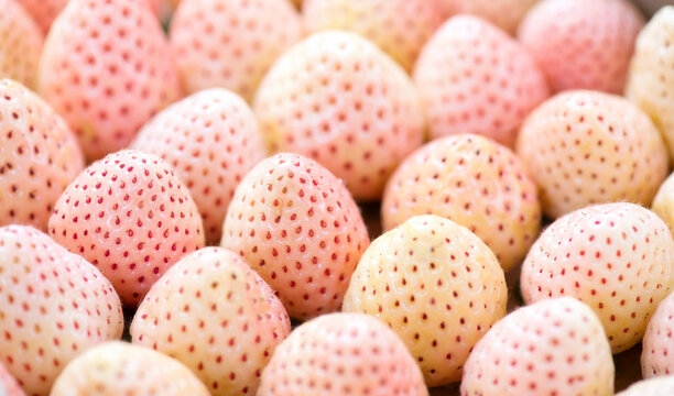 White strawberry background, Pineberry. Strawberry, fresh ripe white strawberries background close up. Organic Vegetarian healthy food backdrop, macro shot, top view