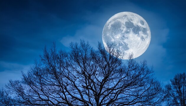 Super Moon Over The Tree Branches With Dark Blue Sky Background