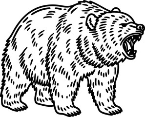 Obraz premium Roaring bear illustration, wild animal drawing with detailed fur and open mouth, aggressive pose