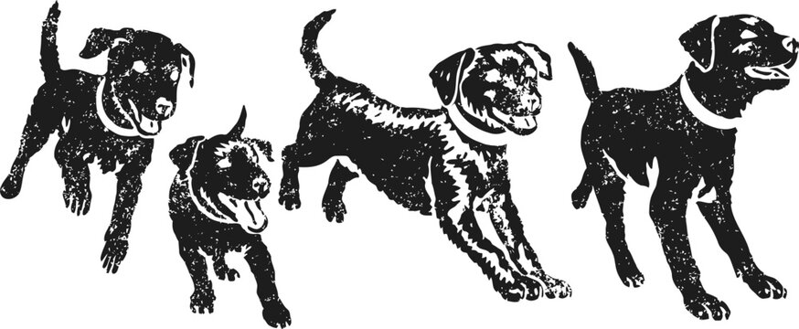 Four black puppies in playful poses, running and jumping in vintage sketch