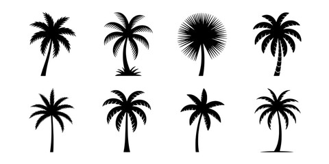 Obraz premium Palm trees set with various leaf shapes and styles featuring tropical, leaves, silhouette with black and white elements for background, nature