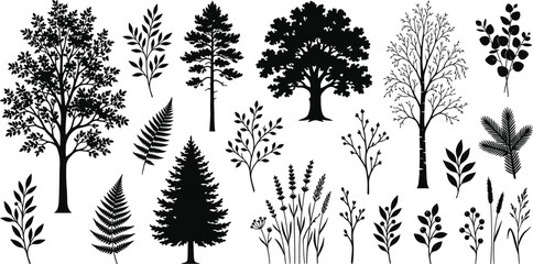 Set of black tree silhouettes and botanical plant icons including oak pine fern lavender and eucalyptus isolated on white background for landscape design © Malati