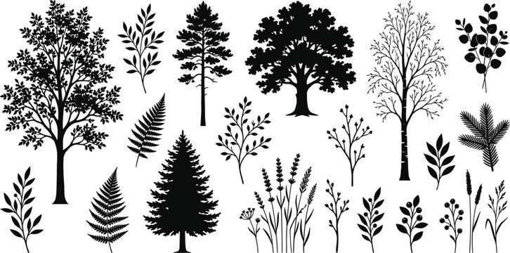 Set of black tree silhouettes and botanical plant icons including oak pine fern lavender and eucalyptus isolated on white background for landscape design