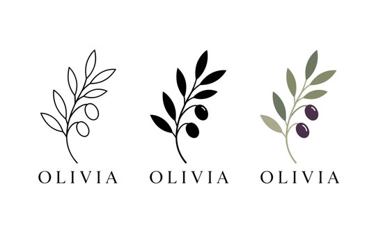 Minimal olive branch logo vector set, elegant botanical emblem icons in black and green, Olivia wordmark branding design
