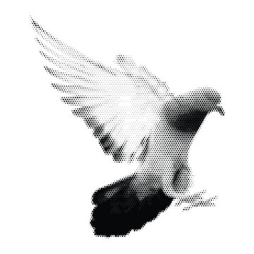 Screen print style dot matrix vector of flying dove, peace pigeon monochrome flying bird graphic, black and white halftone wings spread illustration isolated on white