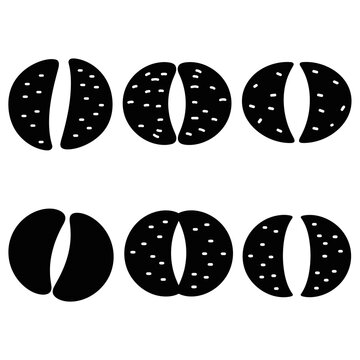 Set of six stylized lithops plants, black and white illustration
