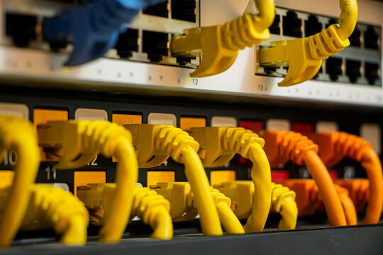 Network switch connected to patch panel . Network, technology or data center concept.