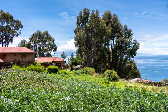 Houses and cultivated fields on Taquile Island, Lake Titicaca, Peru