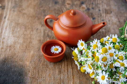 cup of herbal chamomile tea with fresh daisy flowers on wooden background. doctor treatment and prevention of immune concept, medicine - folk, alternative, complementary, traditional medicine
