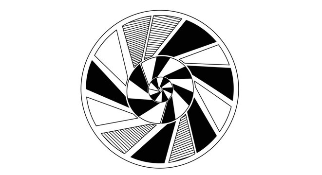 Abstract black and white circular pattern resembling a fruit slice, with segmented triangular and striped shapes arranged radially.