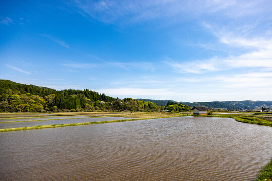 青空の下に水を湛えた田んぼが広がる田植え時期を迎えた水田風景