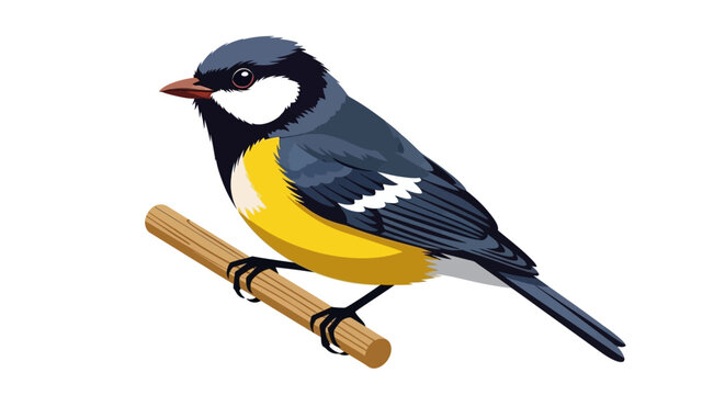 Colorful bird perched on branch, wildlife illustration, nature background