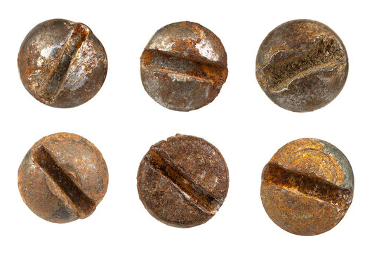 Six rusty screw heads with slotted drive on white
