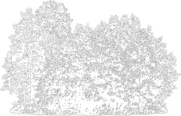 Obraz premium Bush vector outline illustration featuring dense foliage and natural growth for landscape design elements.