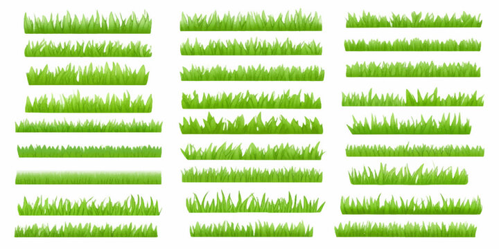 Green grass vector set illustration of nature meadow field lawn garden spring summer eco plant foliage pattern banner frame design