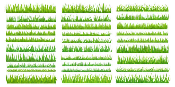 Green grass meadow nature field spring summer lawn garden foliage plant growth ecology vector illustration background design banner border pattern turf environment season greenery